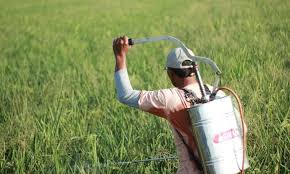 Agrochemicals